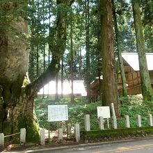 親都神社