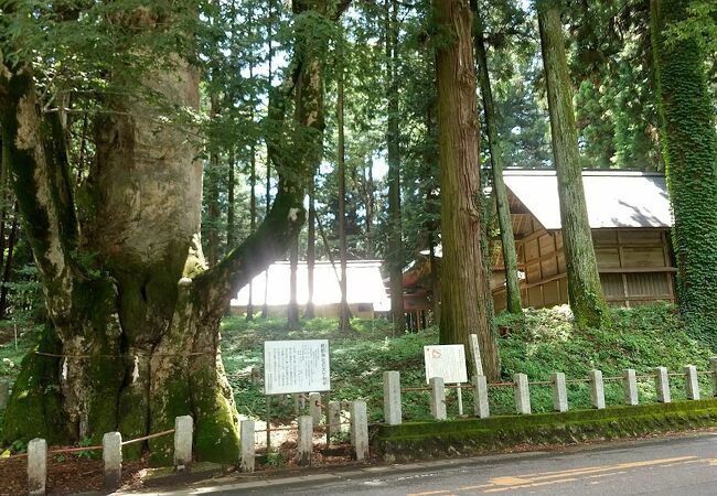 親都神社