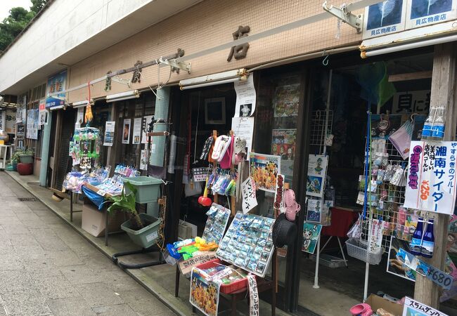 世界の貝の博物館/貝広物産店