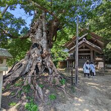 神魂伊能知奴志神社 (命主社) 