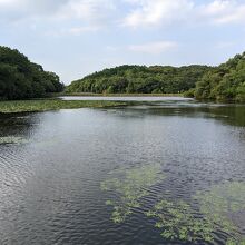 荒神谷史跡公園