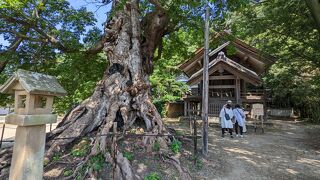 神魂伊能知奴志神社 (命主社) 