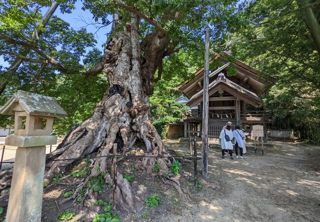 神魂伊能知奴志神社 (命主社) 