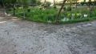 飛び地的に立地している公園