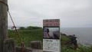 弁慶の足跡 力石