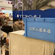 東急百貨店 (吉祥寺店)