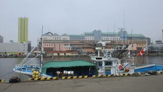 漁船を間近で見れます