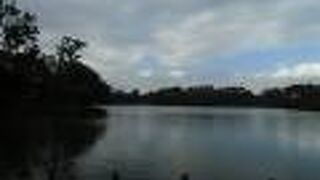 勝海舟が愛した洗足池の景色は今も健在