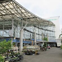 外も植木がたくさん