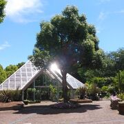 地域の小さな植物園