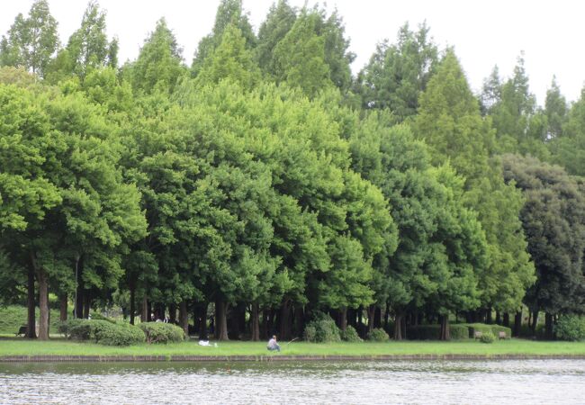 三郷 吉川の公園 植物園 クチコミ人気ランキングtop12 フォートラベル 埼玉県 三郷 吉川の公園 植物園 クチコミ人気ランキングtop12 フォートラベル 埼玉県