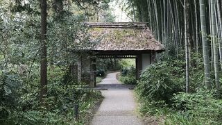 趣ある上品な和菓子店