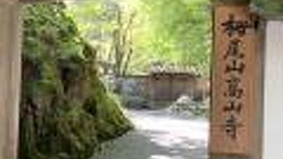 栄西が宋より持ち帰ったお茶が今も根付いています。