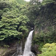 川沿いの遊歩道は夏でも涼しかった。