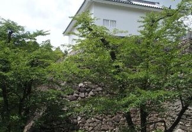 亀山城跡が公園となっています