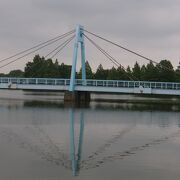 広い水元公園の中心にある水色の斜張橋 