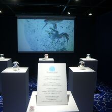 展示内容は少し変わっています。海洋問題は、変わっています。