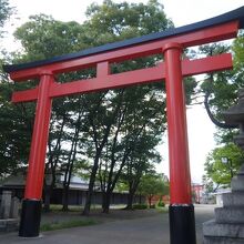 朱の鳥居はやっぱり稲荷大社。