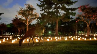 大勢の人でにぎわっていました