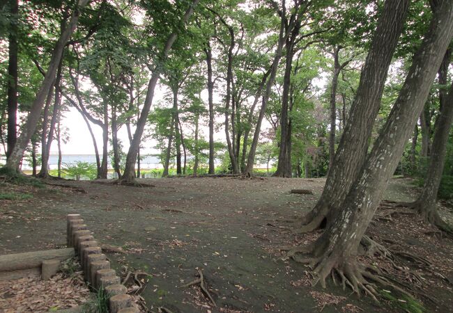 天神山青少年広場