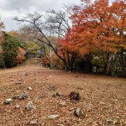 電動レンタサイクルで中腹の番所跡までアクセスできます。本丸の紅葉がきれいでした。