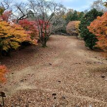 本丸の紅葉