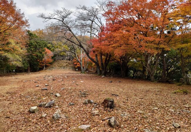 電動レンタサイクルで中腹の番所跡までアクセスできます。本丸の紅葉がきれいでした。