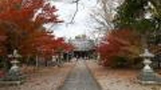 渡岸寺観音堂目当てで行ったが、意外に紅葉がきれいだった。