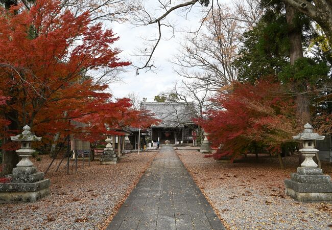 渡岸寺観音堂目当てで行ったが、意外に紅葉がきれいだった。