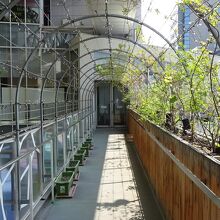 渡り廊下です