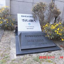 上段の白っぽいのが100年記念碑 