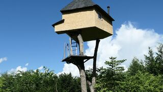 不思議な眺め、でも違和感なし