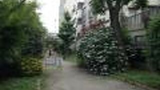 水路を埋め立てたところに造られた公園