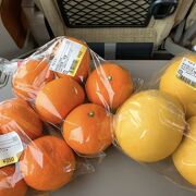 荷物になるとは分かっていながらも、柑橘類を山ほど買って帰りました!