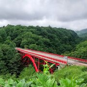 木々の緑に映える赤い橋