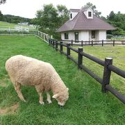 動物とふれ合える県立公園