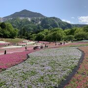 芝桜が圧巻のスポット