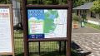 散歩コースというよりは