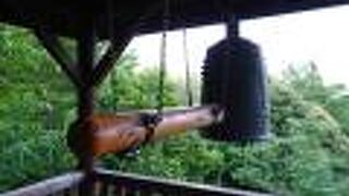 防虫対策を万全に！