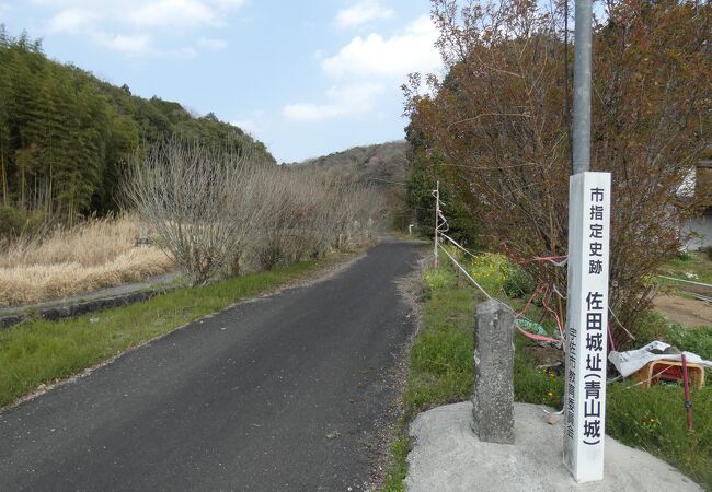 宇佐市安心院町佐田にある山城跡