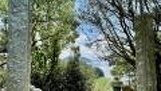 縁結びと安産にご利益のある神社