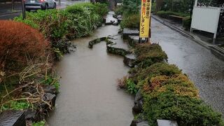 本郷用水親水緑道