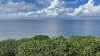 サシバは飛び去った？！海は絶景です！！