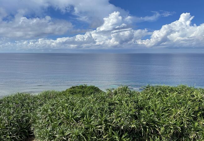 サシバは飛び去った？！海は絶景です！！