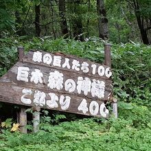 森の神様　入口標識
