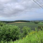 丘陵地帯の景色。見映えは植えられているもの次第