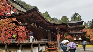 紅葉が美しく鎌倉建築も素晴らしい寺。