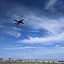 飛行機