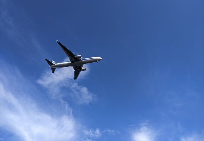 飛行機が近い！！