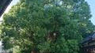 岡崎城付近の伊賀川西岸近くに立地の神社